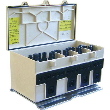 Coffret de regroup. branchement aérien à dénudage MICHAUD P432 (1/4)