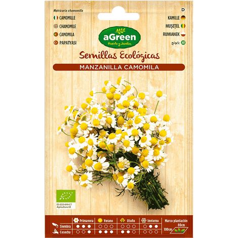 Sachet de graines de camomille eco Agreen (1/3)