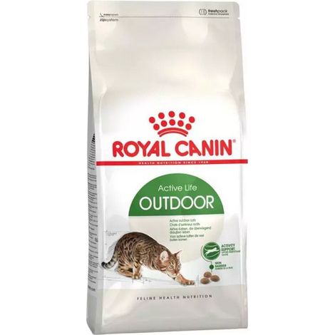 Crocchette Gatto Outdoor 10 Kg Royal Canin (1/3)
