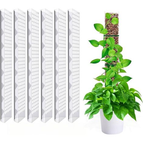 6er Packung 10 x 60 cm große Torfmoos Stützen aus Kunststoff, Monstera Stütze, Moossäule, für Monstera Kletterpflanzen im Garten (1/5)