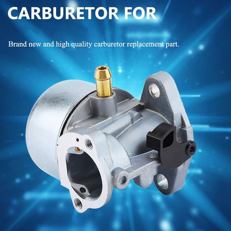 Carburateur pour 497586, 498170, 799868, 498254, 497314 - Pièce de rechange moteur (1/5)