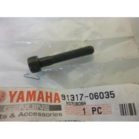 Visserie origine pour Moto Yamaha 1100 Virago 91317-06035 Neuf
