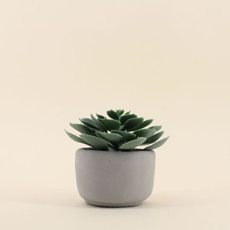 Plante artificielle pot en ciment 12cm (1/4)