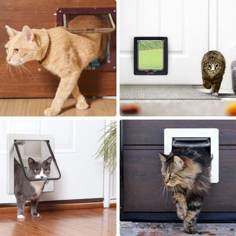 Chatière pour Chat avec magnétique à 4 Voies, Porte pour Animaux de Compagnie pour Chats et Petits Chiens, Porte pour Chat avec Tunnel (M-19.7x19x5.5 cm, Blanc) (1/5)