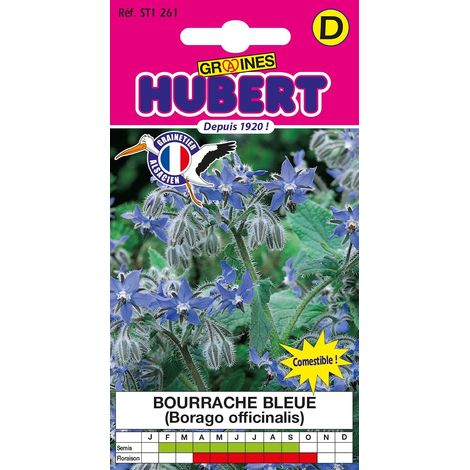 Graines de Bourrache Bleue - 2 grammes (1/5)
