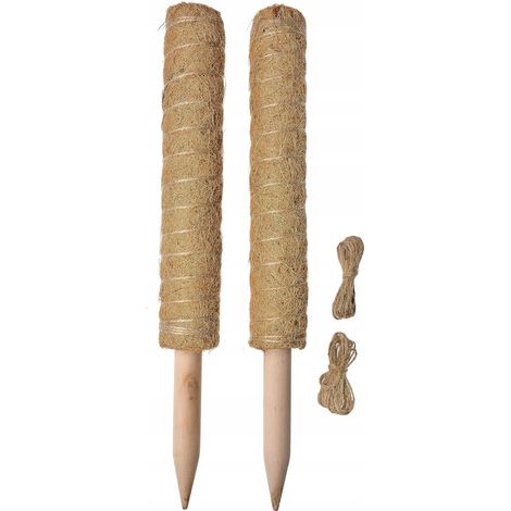 Stütze für Kokosnusspflanzen 40 cm + Juteschnur 20 m Ranken (1/4)