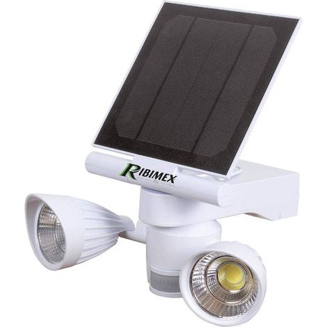 Spot Solaire 2 x 4W LED 600 Lumens - Détecteur Inclus - Éclairage Efficace et Écologique - D-Work