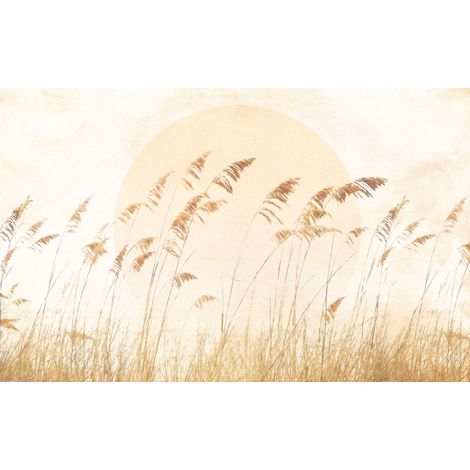 Papier peint panoramique modern Herbe des Dunes (1/5)
