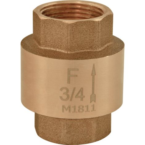 valvola di ritegno da 3-4" (1/5)