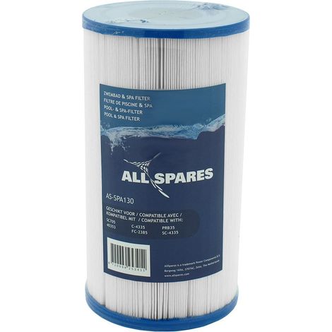 Filtre pour spa SC705 / 40353 / C-4335 (1/3)
