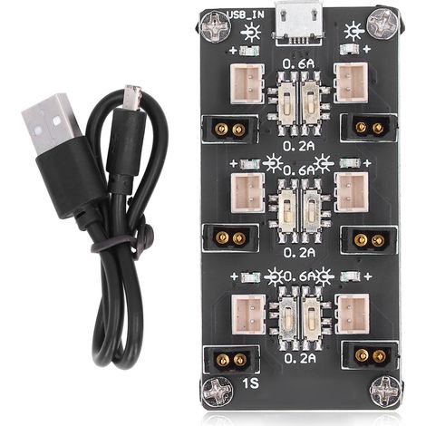 Chargeur de batterie lithium 6 canaux 0,2A 0,6A avec indicateur lumineux LED (1/5)
