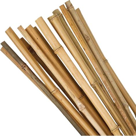 Stab Garden KBT 1800/16-18 mm, Pack. 10 Stk., Bambus, Stützstab für Pflanzen