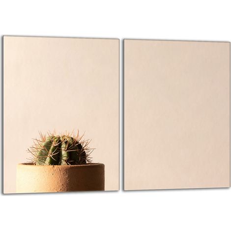 Piastra protettiva in vetro per la stufa 2x40x52 Cactus (1/5)