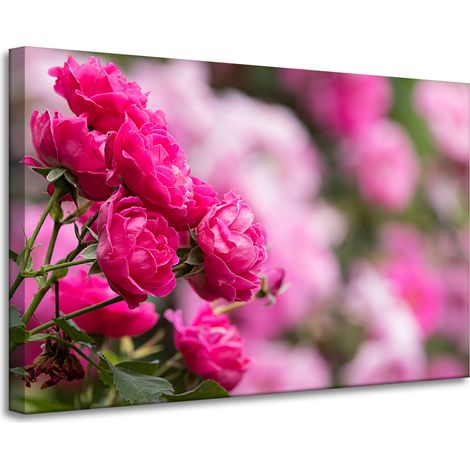 Leinwanddruck „Botanische rosa Rosen“, 90 x 60 cm
