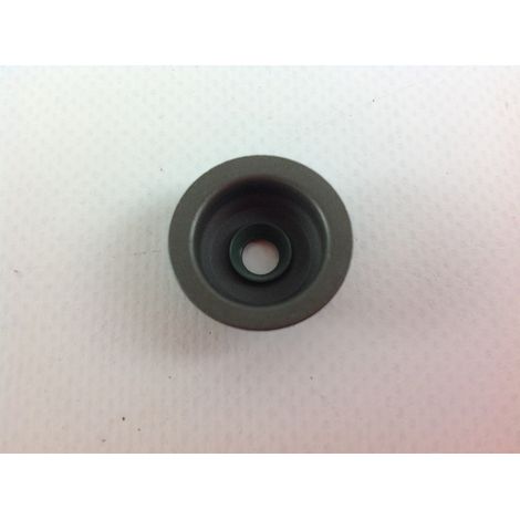 ORIGINAL LONCIN Rasentraktor Ventilschaftdichtung 140400011-0001 (1/3)