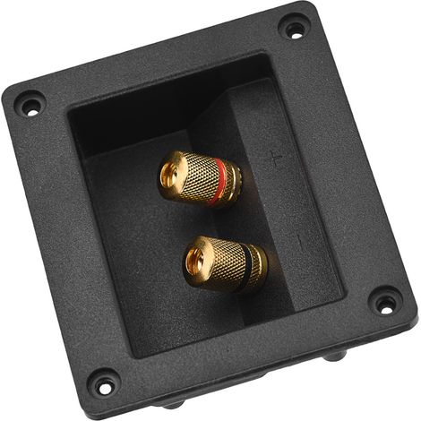 Boîtier de Connexion pour Enceintes HiFi avec Bornes en Cuivre et Câbles Acoustiques (1/5)