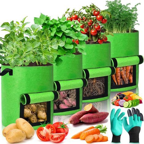 Set of 4 Grow Bags, 40L, Non-Woven, Harvest Window, Reinforced Handles, Garden Balcony (1/5)