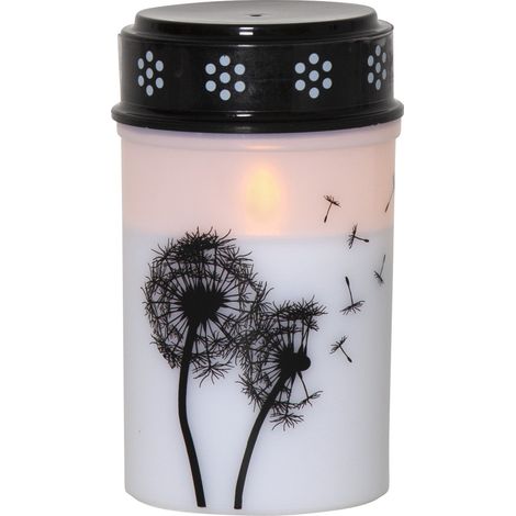 Star Trading Bougie funéraire LED 'Pissenlit', minuterie, 12 cm