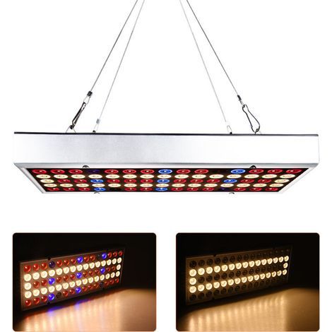 Lampe de croissance LED 25W pour plantes, pouvant être connectée en série – Pour intérieur, serre, germination, spectre complet, réglable hauteur, faible consommation, norme européenne (1/4)