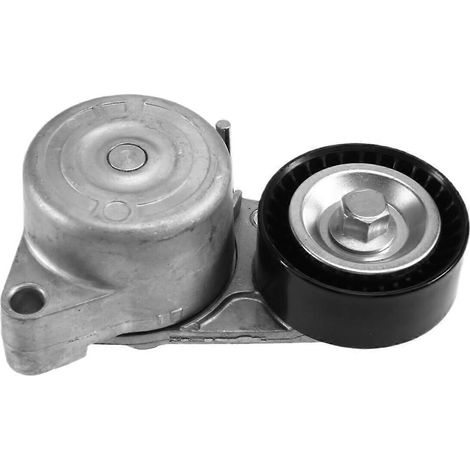 2782000470 Tendeur de courroie de moteur automobile pour-- (1/5)