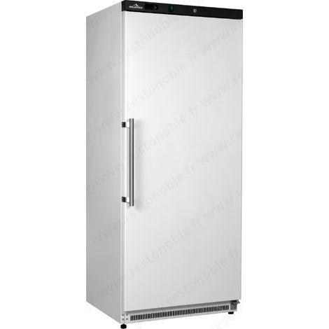 Armoire de congélation blanche 1 porte - 600 Litres PREMIUM - GOLDINOX (1/4)