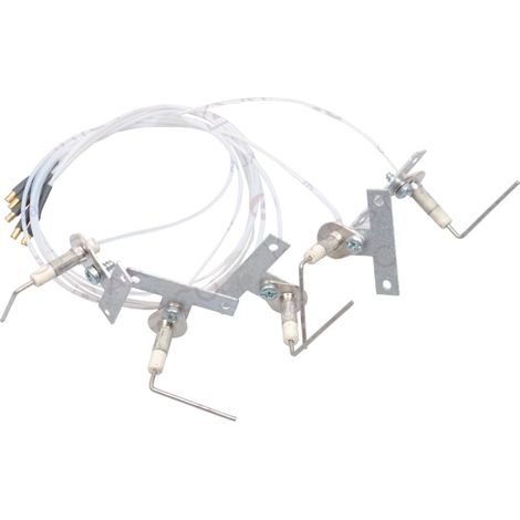 Electrode ionisation CELTIC 1.23/HPS (1/2)