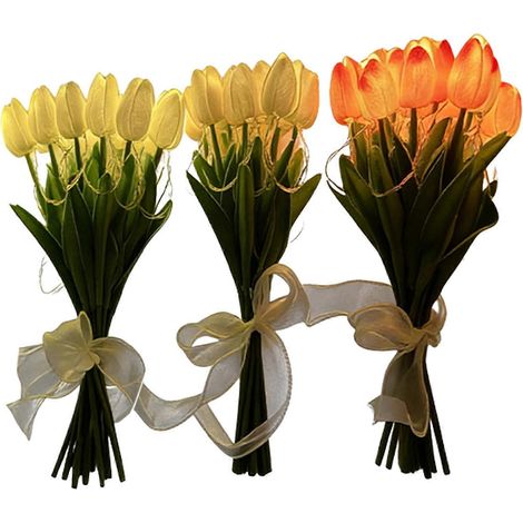 Ciel étoilé Projecteur Veilleuse avec Ad – étanche éclairage LED – pour Extérieur – Couleur