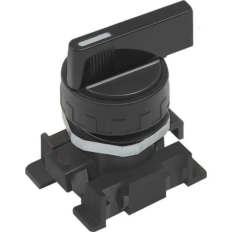 Riegler Langer Drehhebel, schwarz, 2 Stellungen, monostabil (1/2)