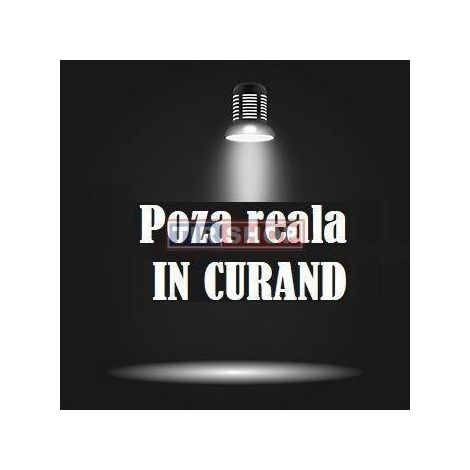 Placa 100mm brida resorte recta BPW ejes semi-remolque  503221680