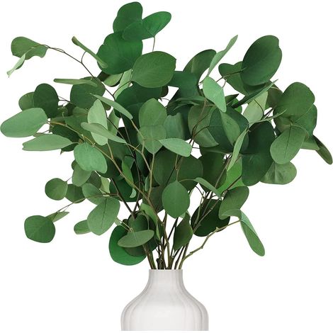 Eukalyptus Getrocknet für Deko, Natürliche Echt Eucalyptus 15-17'' (1/5)