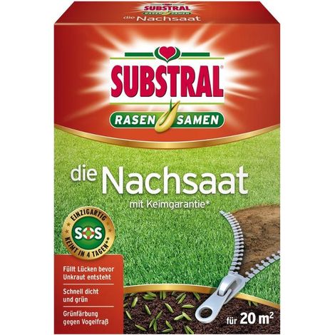 Graines substral die nachsaat germination rapide croissance basse température