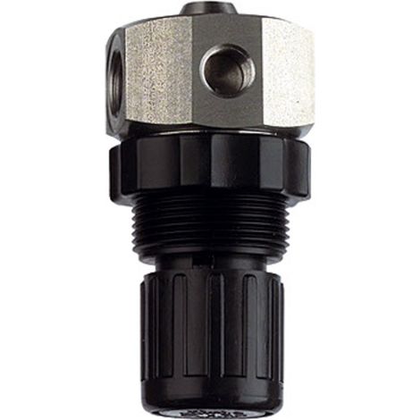 Riegler Edelstahl-Druckregler 1.4571, flüssige Medien, G 1/4, 0,1 - 2 bar (1/4)