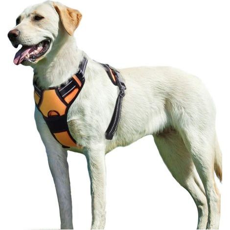 Harnais Chien XL, Harnais Anti Traction pour Chien, Facile à Mettre, sans Poignée Contrôle, Arnet pour Chien Réfléchissant, Respirant, Durable, Harnais pour Chien, Moyen et Grand