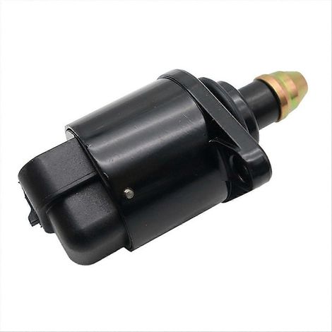 IACV pour 806 et 205 (1/5)