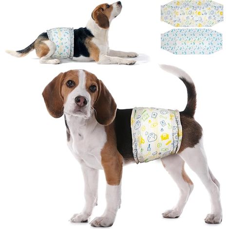 Couches pour Chiens mâles jetables Couches pour Chiens mâles Bandes ventrales Incontinence M (45-63 cm) (1/5)