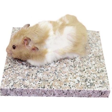 Granite Stone for Cooling Hamsters, Small Animal Accessory 9 x 9 cm (1/4)
