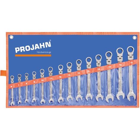 PROJAHN Trousse 14 clés à cliquet GearTech articulées 6 à 19 mm - 3493