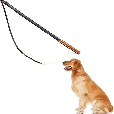 Hundetrainingspeitsche aus Kunstleder, professionelles Trainingsgerät mit Griff, Haustierzubehör (1/4)