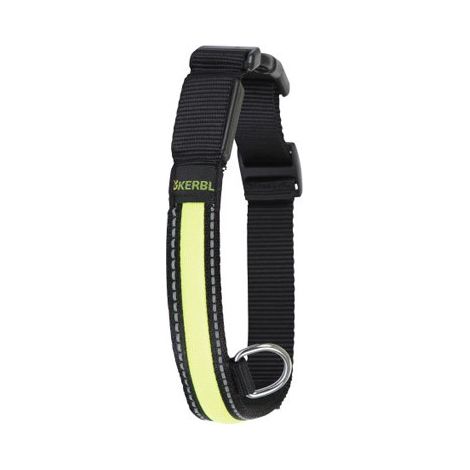 Collier réfléchissant pour chien - X Tour de cou 34-41 cm