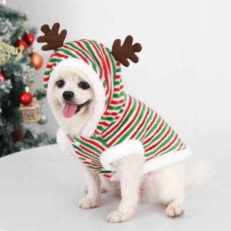 Vetement Chien - Costume Noel Raye en Polyester - Pour Chiot ou Chat - Taille M - Confortable et Chauffant - 1 Pièce (1/5)