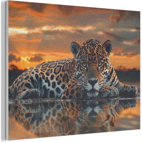 TABLEAU ACOUSTIQUE Nature - Léopard - Animal - Coucher de soleil - Moderne Panneau Insonorisant 80x60 cm (1/5)