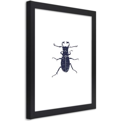 Quadro con cornice, Gallo nero - 20x30 (1/5)