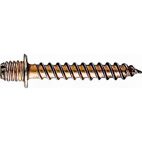Index – Boite de 100 vis à bois zinguées M10 x 50 – Collier de serrage et agrafe rainurée – Pour bois dur et teck