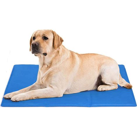1 Tapis rafraîchissant pour chien, activation par pression, gel non toxique, sans eau ni électricité, intérieur extérieur voyage (1/5)