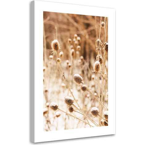 Tableau sur toile Prairie séchée avec fleurs de cardères 70x100 (1/5)