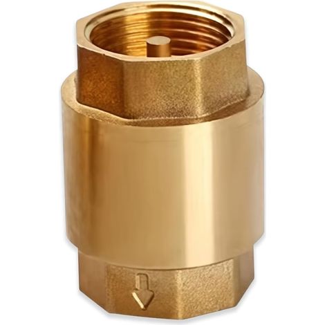 Clapet Anti Retour 1 Pouces, Vanne Antiretour En Laiton AG Vers IG, Etanche Inoxydable Pour Pompe, Machine À Laver, Jardin, Citerne D'eau (1/5)