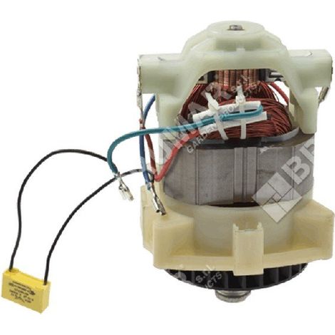 Motor eléctrico para cortacésped COMPATIBLE MAORI - 048632