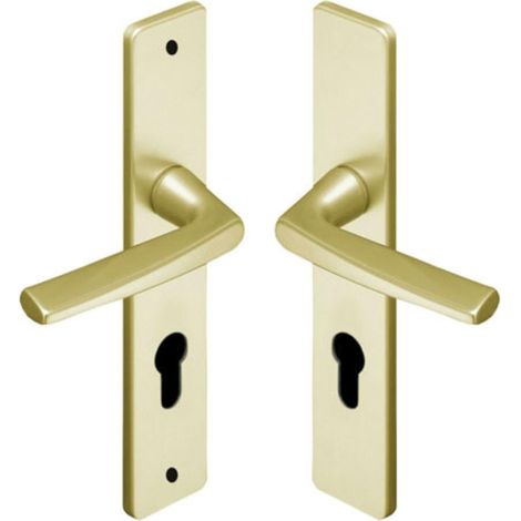 Set de Poignée de Porte sur Grande Plaque RIVIERA - Version Bec de Cane Porte Cuisine et Salon - Entraxe 195 mm - en Aluminium, Finition Argent - Système de Pose Facile (1/5)