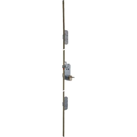 Serratura da infilare a 3 punti 5000 Trilock A2P SGN2 T18 VACHETTE - catenaccio da 50 mm - 18002000 (1/3)