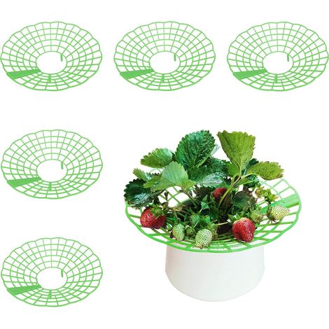Packs Strawberry Supports - Reusable Strawberry Plant Stand Waterproof Growing Frame Plastic Fruit Tray Protectors Sturdy Strawberry Growing Racks to Keep Strawberries Off Mold, Rot and Dirt (1/5)